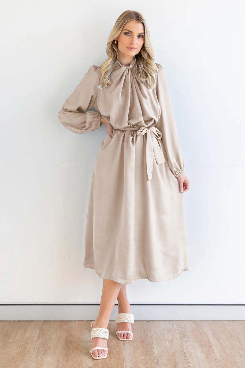 Ruched Knotted Long Sleeve Satin Midi Dresses-Hayhty.All Rights Reserved.