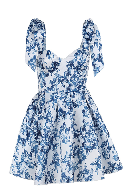 Floral Print Tie Up Shoulder Straps Corset A-Line Mini Dresses-Blue-Hayhty.All Rights Reserved.