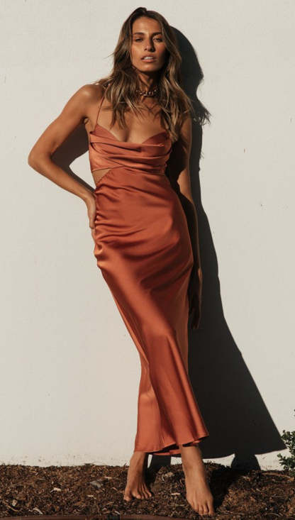 Suspender Pile Collar Backless Midi Dress-Hayhty.All Rights Reserved.