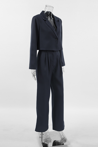 Notch Lapel Crop Blazer Wide Leg Pants Matching Set-DarkGray-Hayhty.All Rights Reserved.