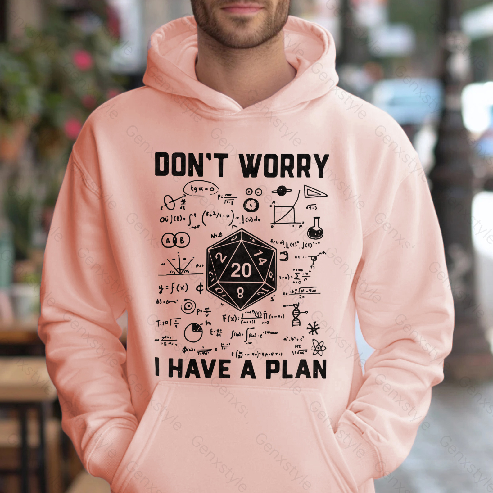 Don't Worry I Have a Plan Hoodie