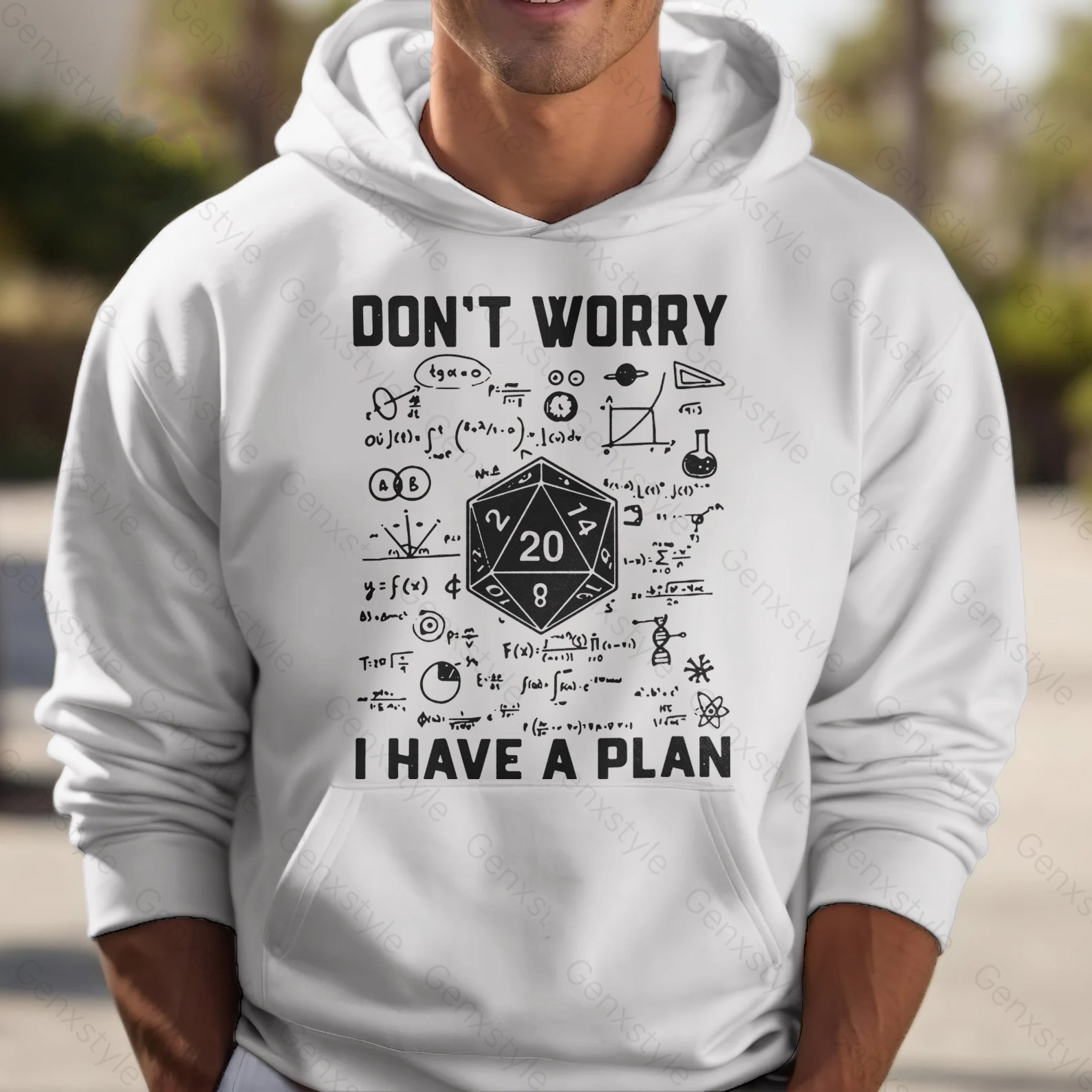 Don't Worry I Have a Plan Hoodie