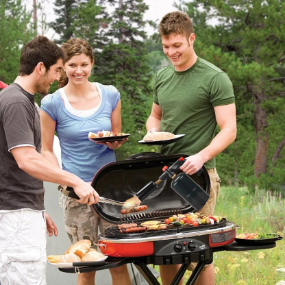 DOMINOX DM-666 Propane Torch Grill & Cooking,