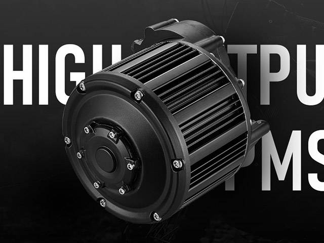 Rawrr Mantis High-Output PMSM Motor