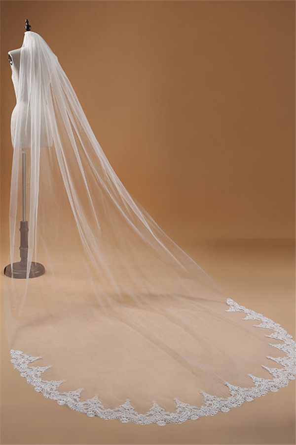 Floral Elegant Tulle Lace Applique Edge 3*1.5M Wedding Gloves with Comb