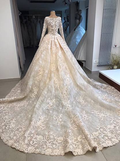 Elegant Scoop Long Sleeves Appliques Ball Gown Wedding Dresses