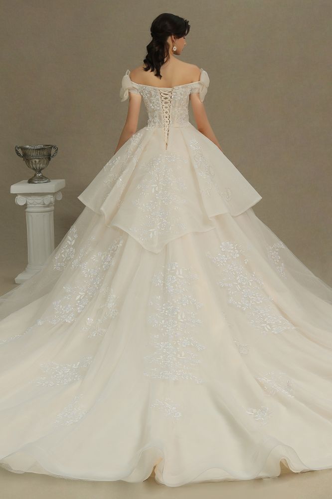 Elegant Off-the-Shoulder Tulle Lace Ball Gown Floor Length Graden Bridal Gown