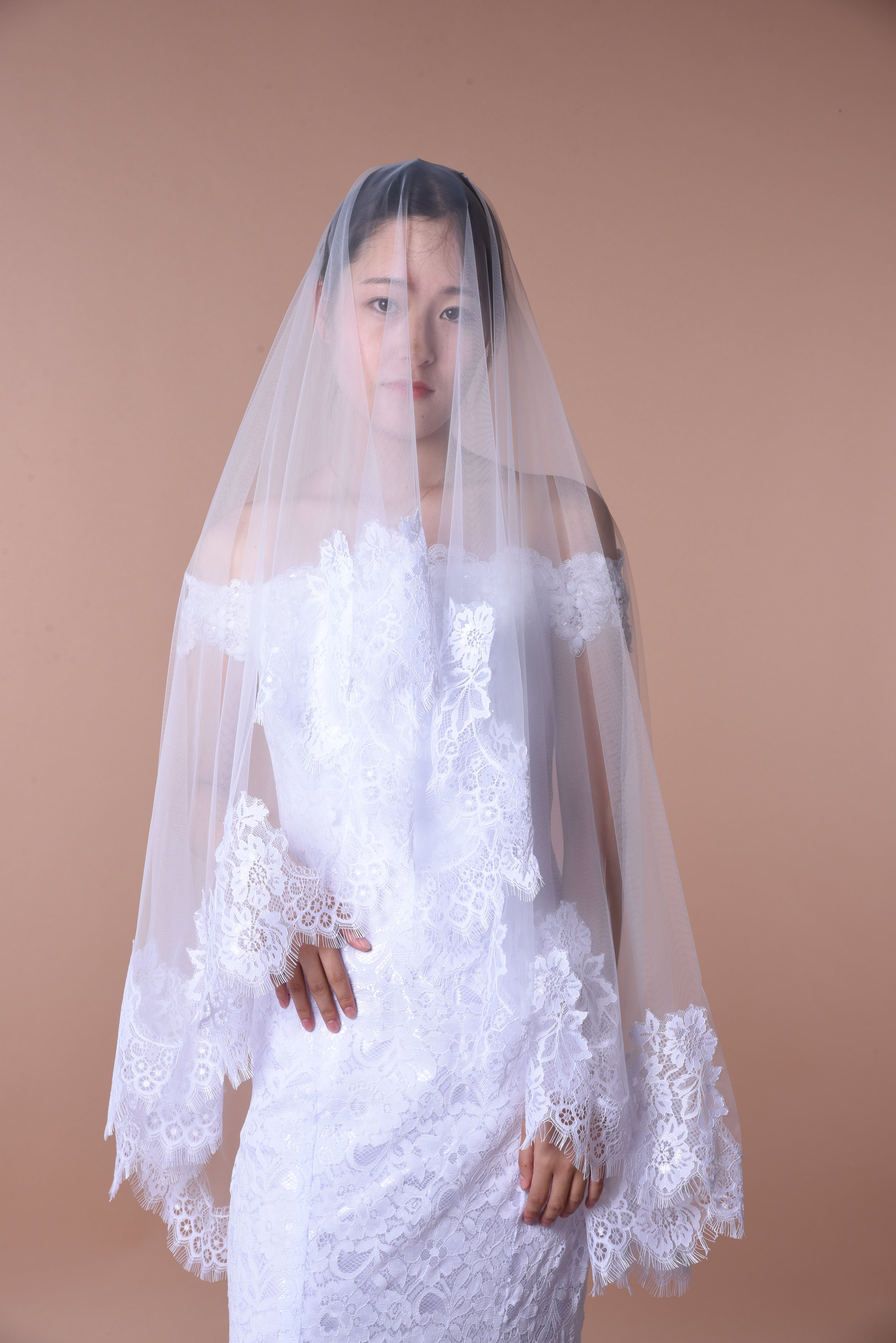 Ethereal Lace-Trimmed Single-Layer Wedding Veil