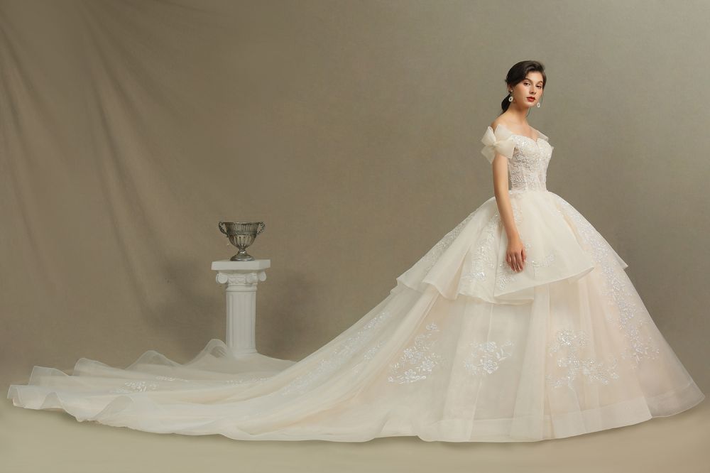 Elegant Off-the-Shoulder Tulle Lace Ball Gown Floor Length Graden Bridal Gown