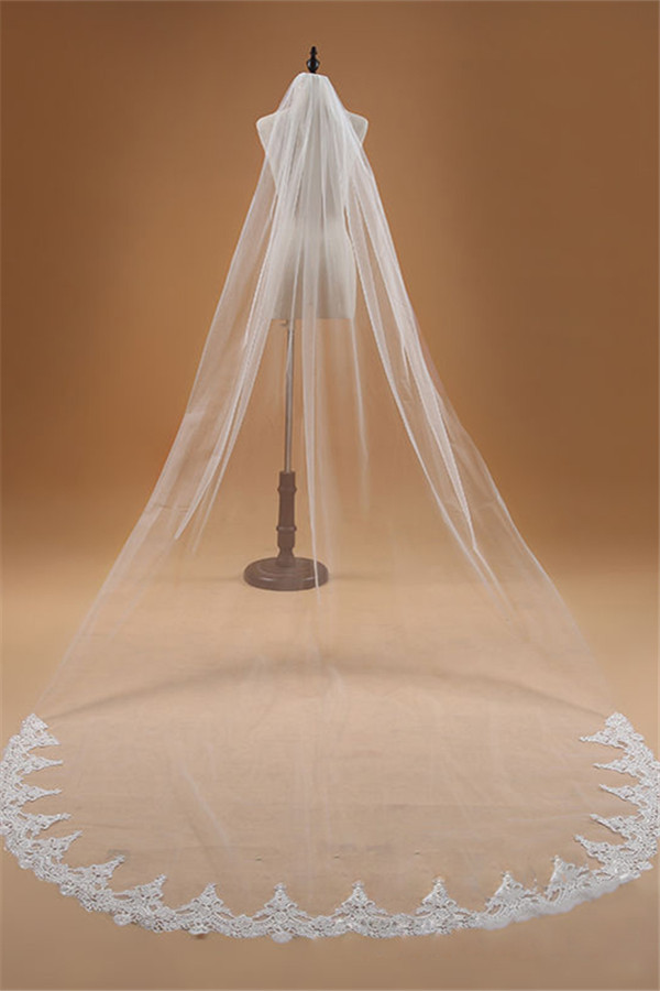 Floral Elegant Tulle Lace Applique Edge 3*1.5M Wedding Gloves with Comb