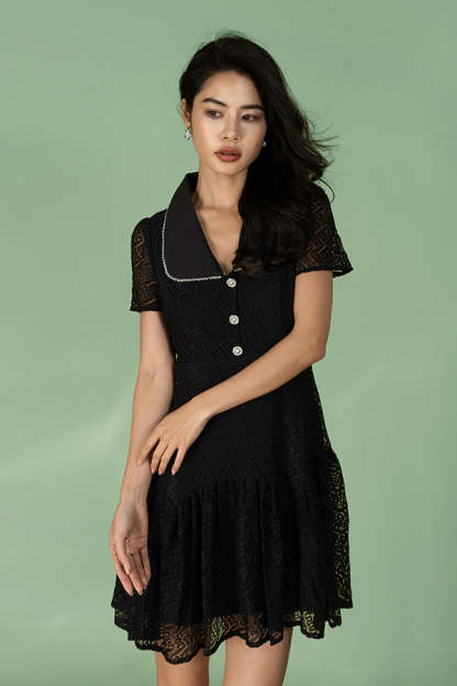 Black V-Neck Lace A-Line Short Dresses
