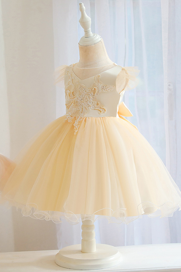 Pink sleeveless vneck a-line puffy princess flower gril dress