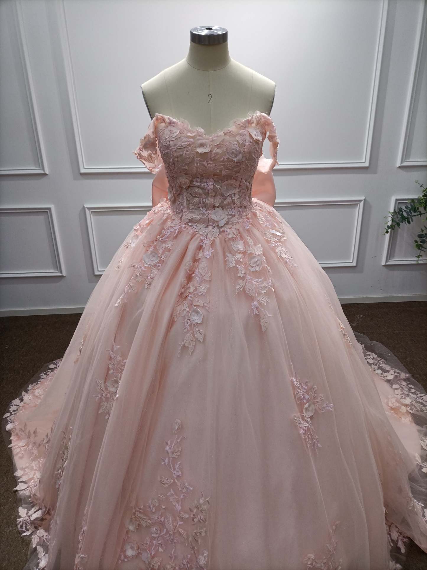 Off-the-Shoulder Tulle A-Line Evening Dresses with Applique