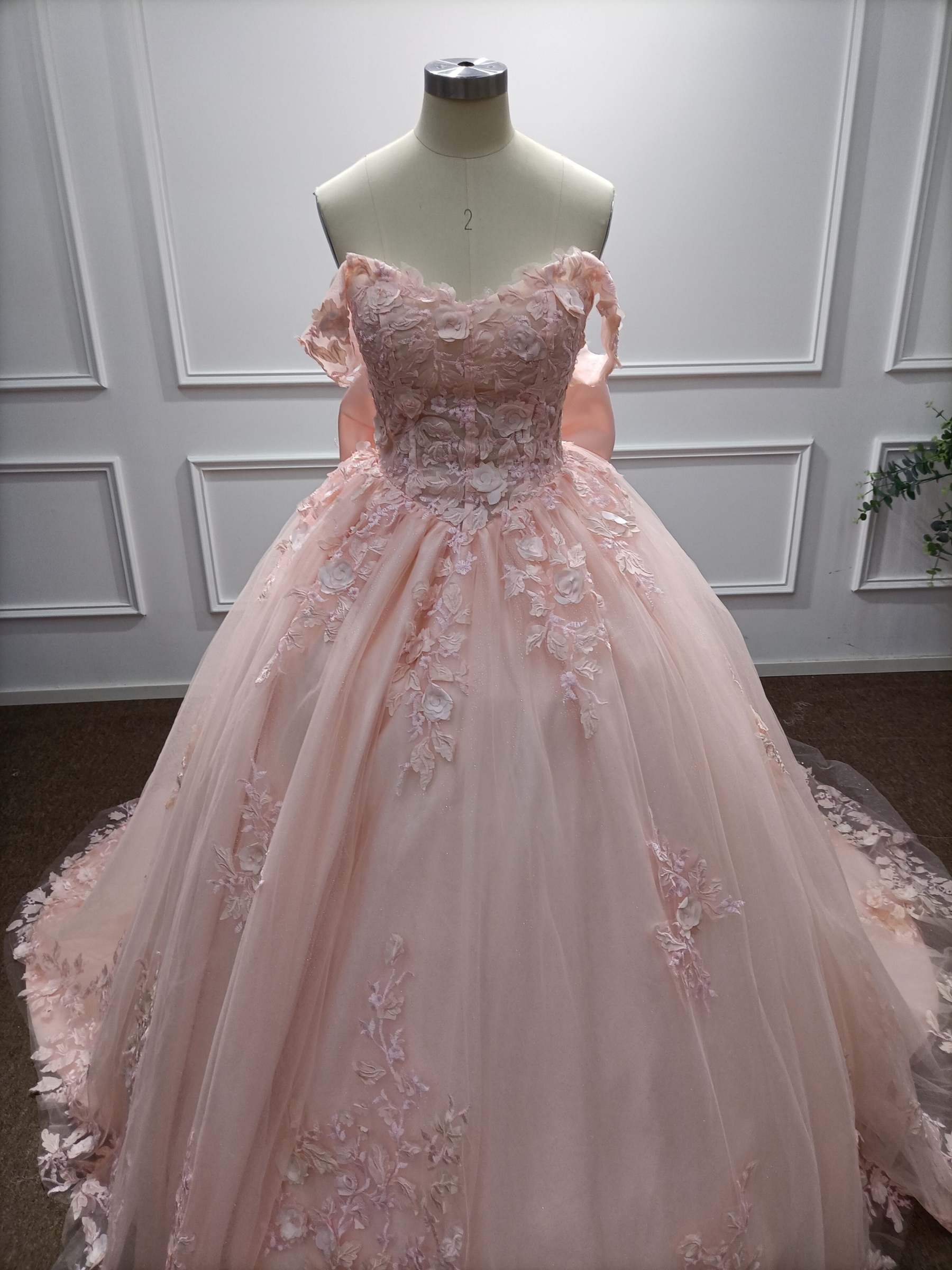 Off-the-Shoulder Tulle A-Line Evening Dresses with Applique