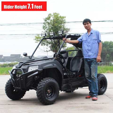 DF200GKV armored go kart for sale. Dongfang adult go karts for sale
