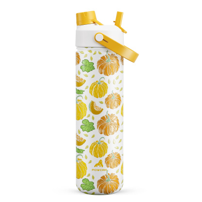 26 oz Insulated Water Bottle with 2-in-1 Straw and Spout Lid