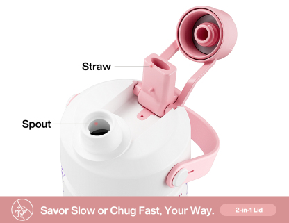 26 oz Insulated Water Bottle with 2-in-1 Straw and Spout Lid