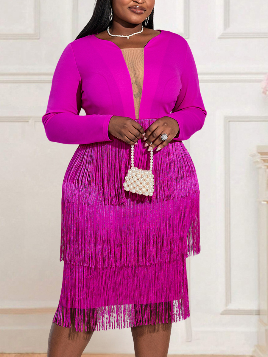 Tassels Long Sleeve Mesh Patchwork Midi Dress