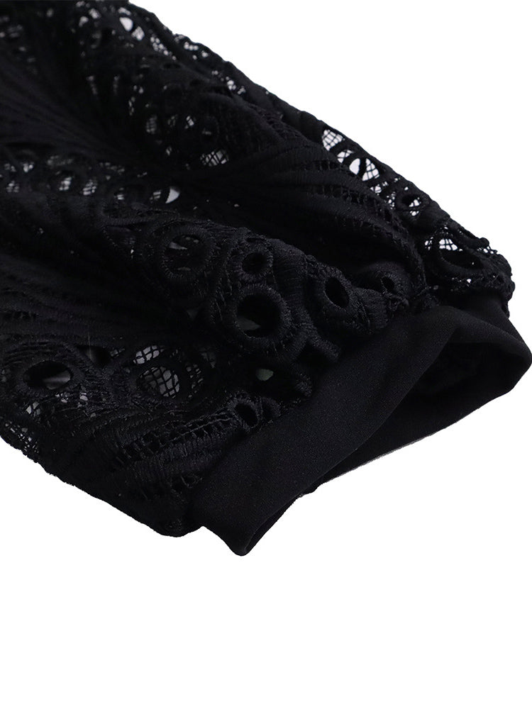 Plus Size Lace Hollow Out Pleated Dress