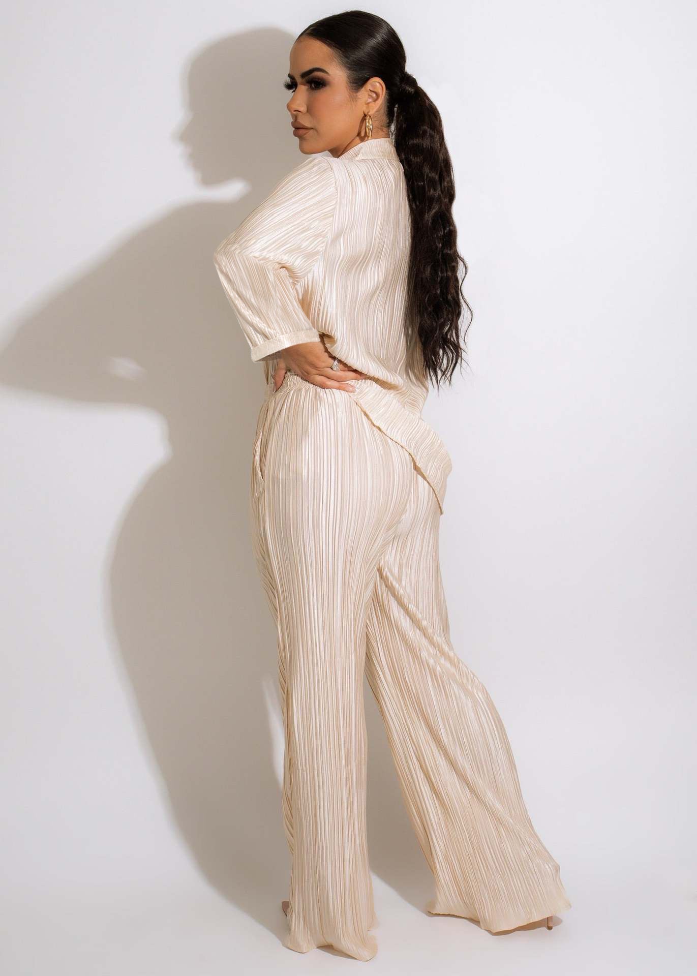 Two Piece Pleated Shirt Wide Leg Pants