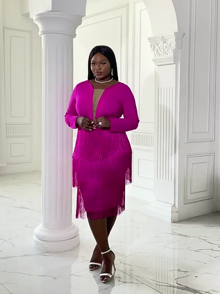 Tassels Long Sleeve Mesh Patchwork Midi Dress