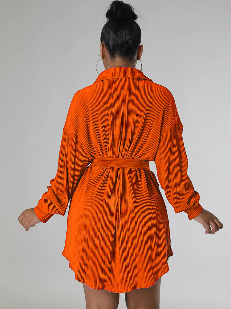 Long Sleeve Ribbed Mini Shirt Dress