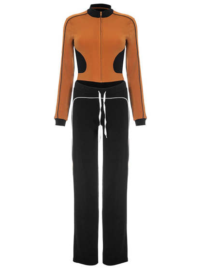 Stand Collar Slim Fit Fitness Jacket and Shorts Set