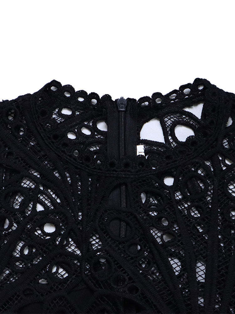 Plus Size Lace Hollow Out Pleated Dress