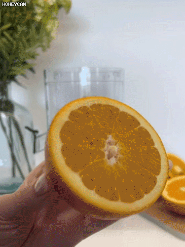 Nowa, zmodernizowana sokowirówka z separatorem soku i pozostałości