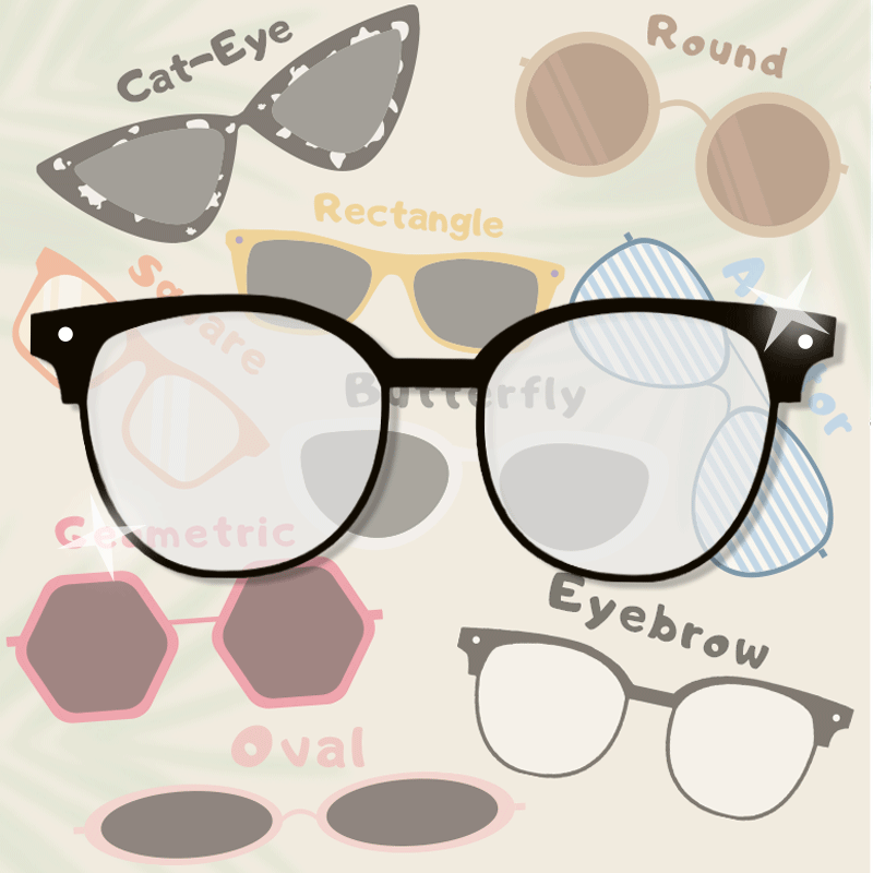 Browline Eyewear