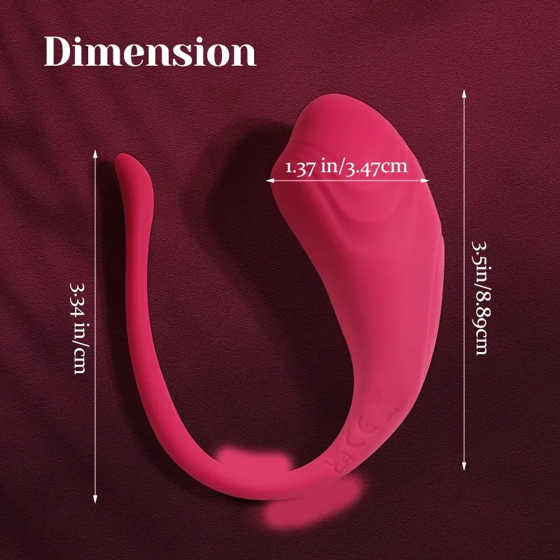 APP Fernbedienung Auflegevibrator