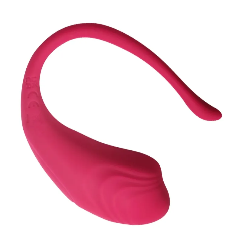 APP Fernbedienung Auflegevibrator