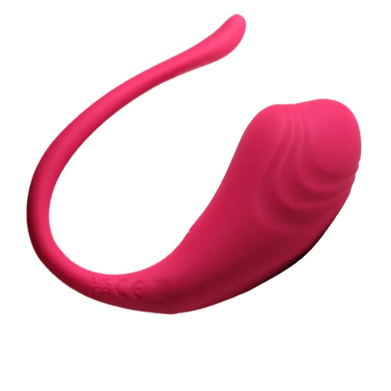 APP Fernbedienung Auflegevibrator