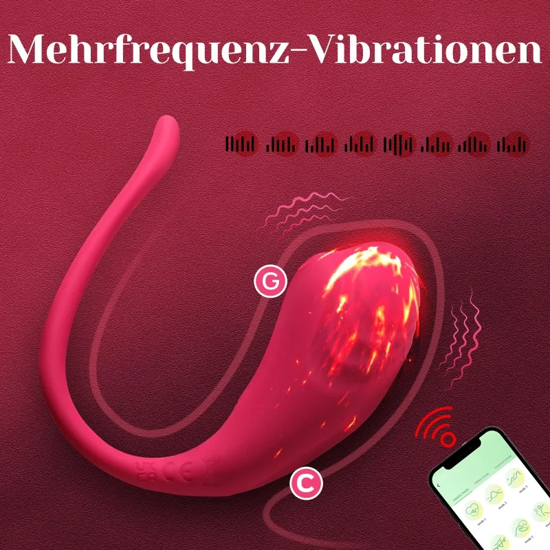 APP Fernbedienung Auflegevibrator