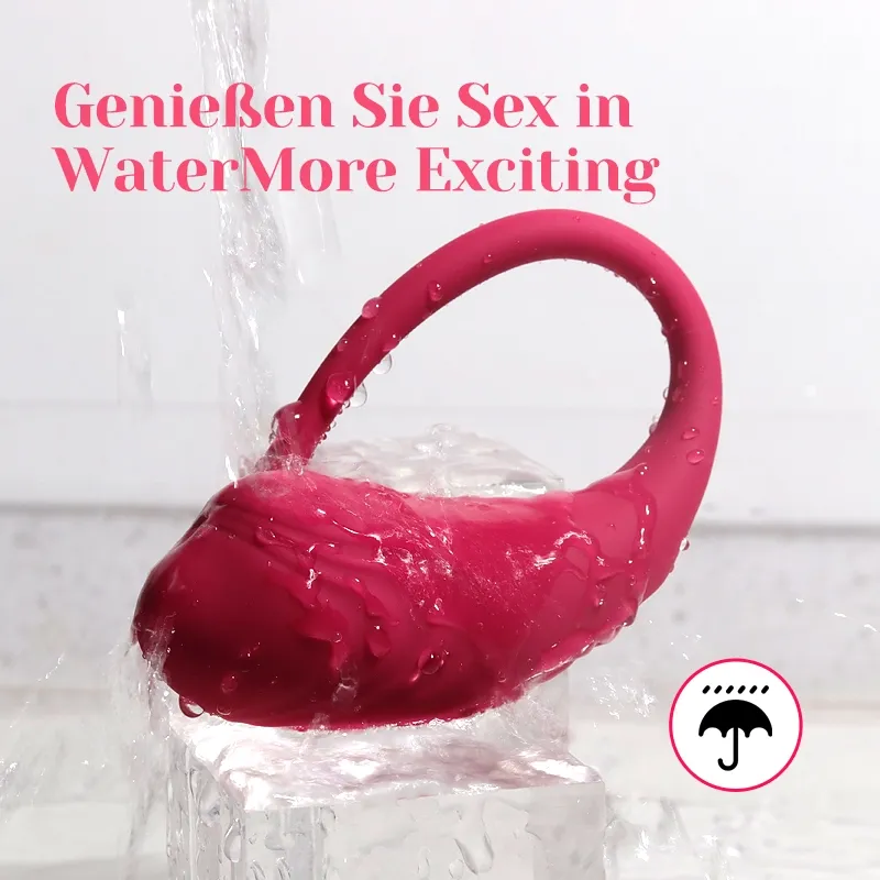 APP Fernbedienung Auflegevibrator