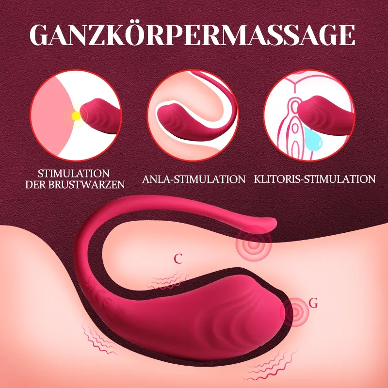 APP Fernbedienung Auflegevibrator
