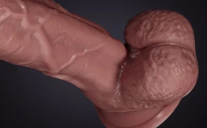 Realistische Lange Silikon Dildos mit Saugnapf 28.9cm