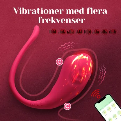 Bärbar APP Fjärrkontrollerad Vibrerande Trosor