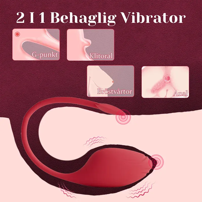 appstyrd vibrator RCV01
