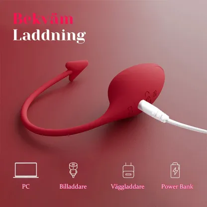 appstyrd vibrator RCV01