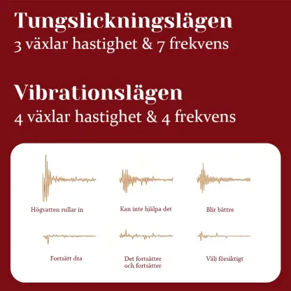 rabbit vibrator RBV09