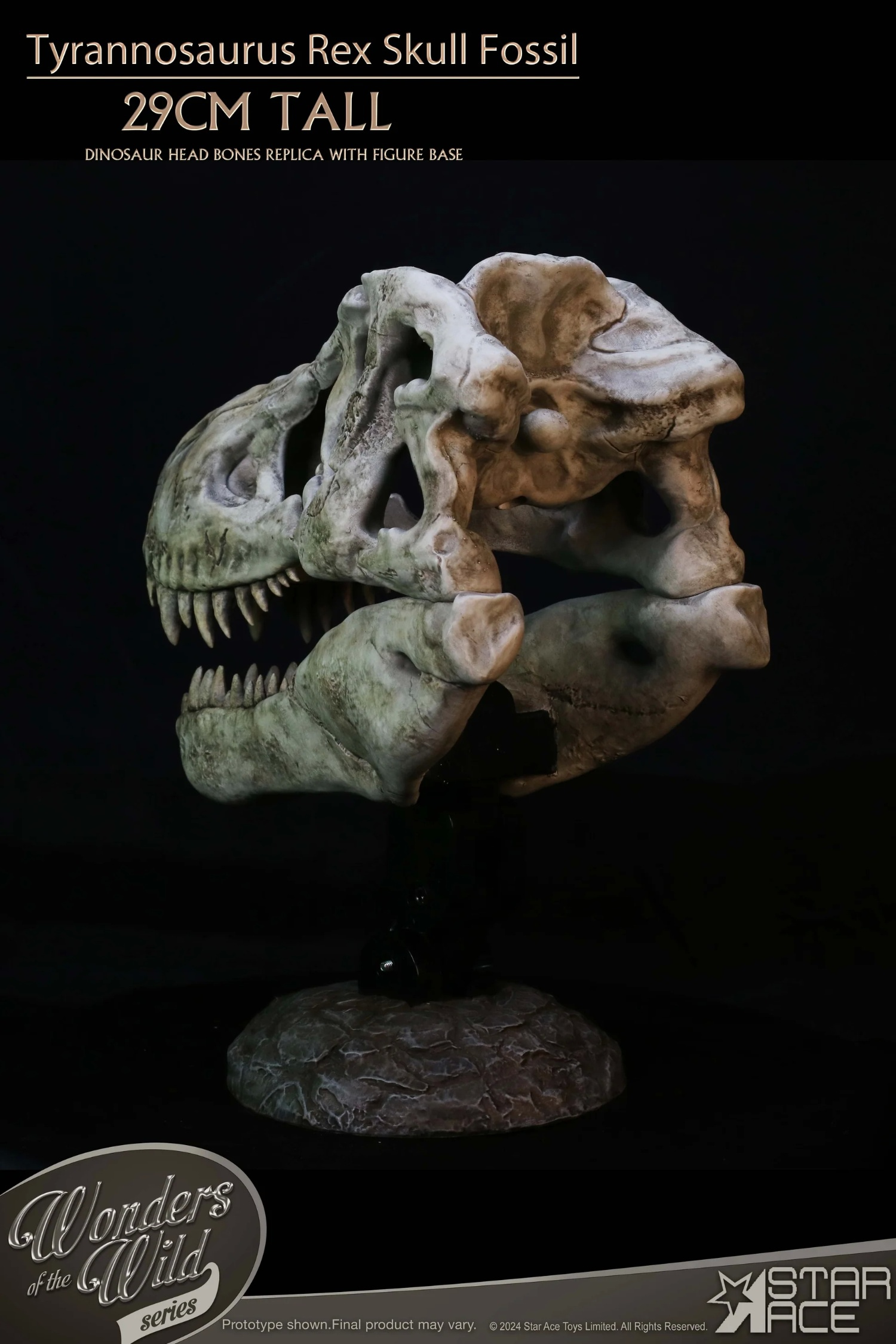 STAR ACE Toys Studio - Original Wonders of the Wild Series Tyrannosaurus Rex Skull Fossil SA5043 (Licensed) Scene-Statue Master
