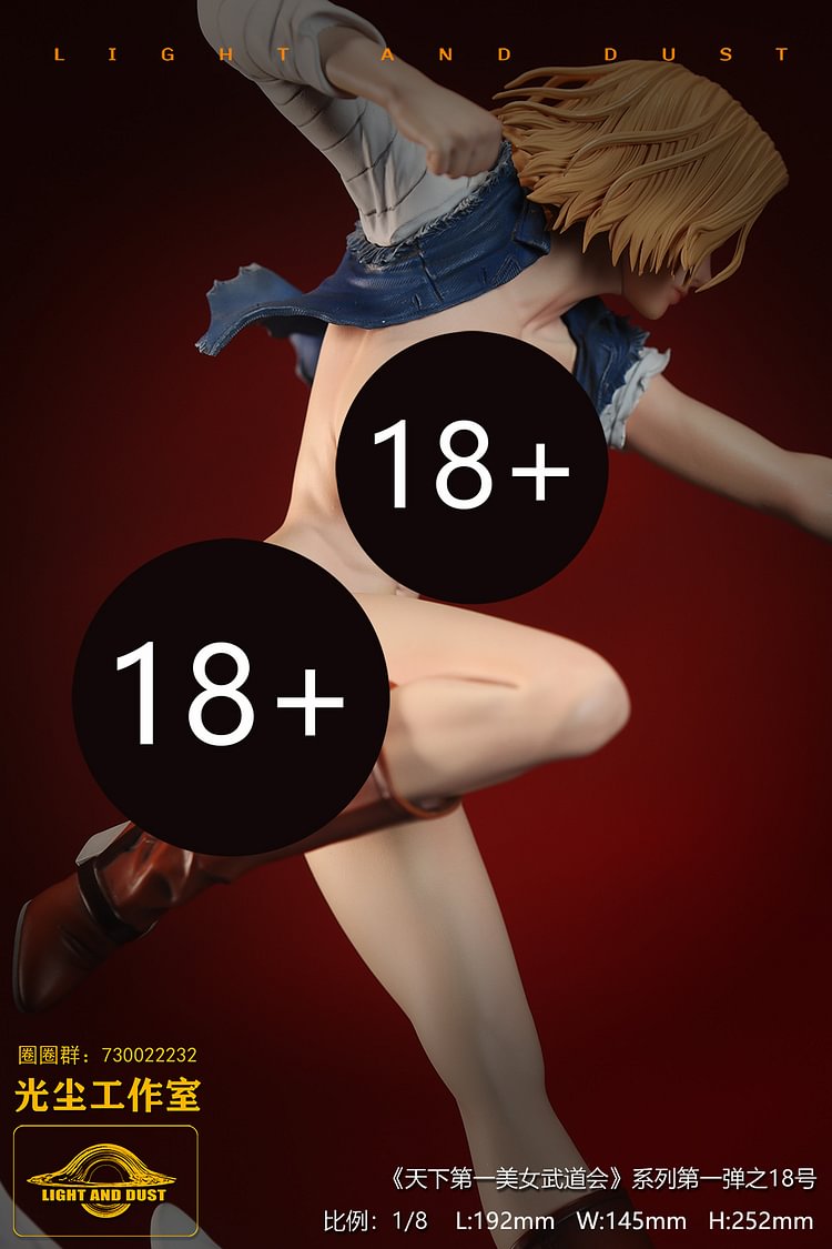 Light and Dust Studio - Dragon Ball Tenkaichi Beauty Budokai #1 Dragon Ball Android 18 VS One Piece Yamato 1/8 Statue(GK) (Adult 18+)-Statue Master