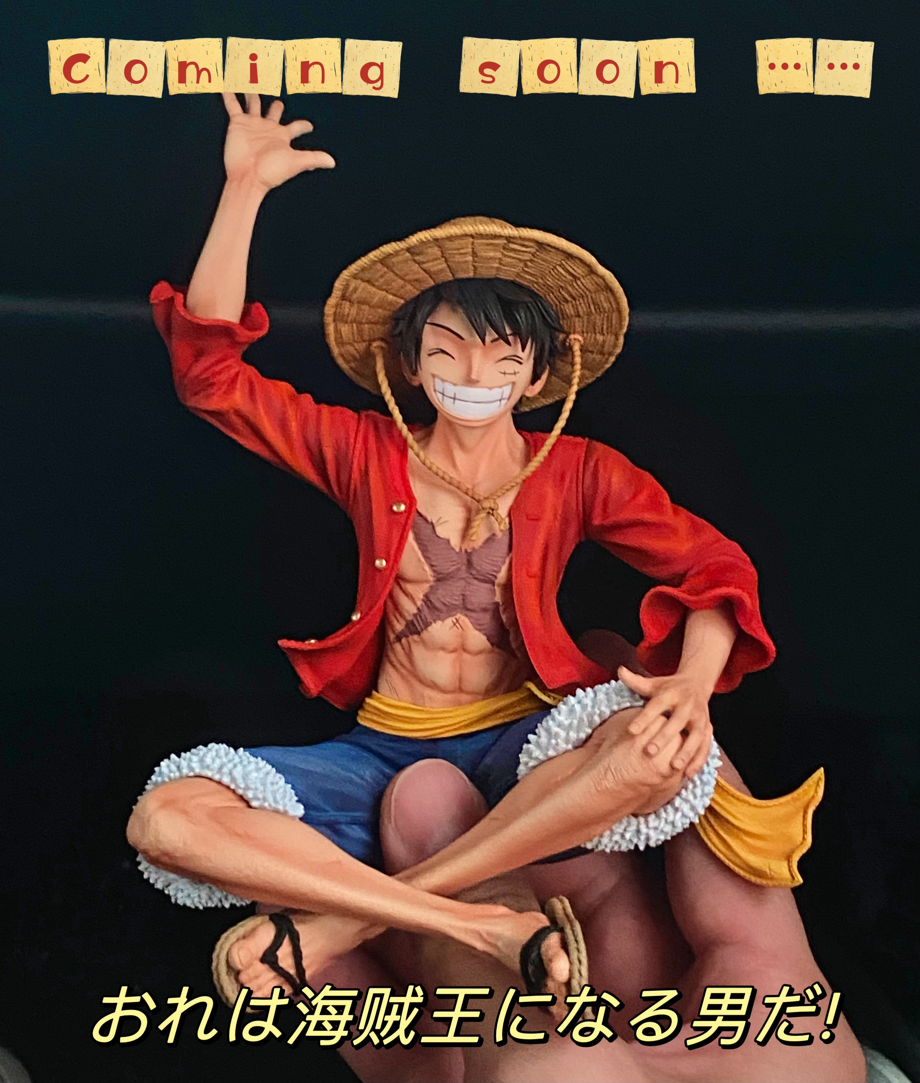 Dimensional Cells Studio - One Piece Sitting Luffy Statues(GK)