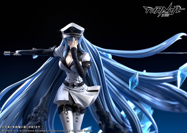 Manta Studio - Akame Ga Kill - Esdeath with LED 1/6 Statue(GK) 
