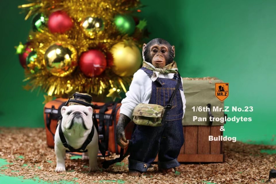 IN-stock Mr.Z Simulated Animals Series 23: 1/6 Scale Chimpanzee & Bulldog Set
