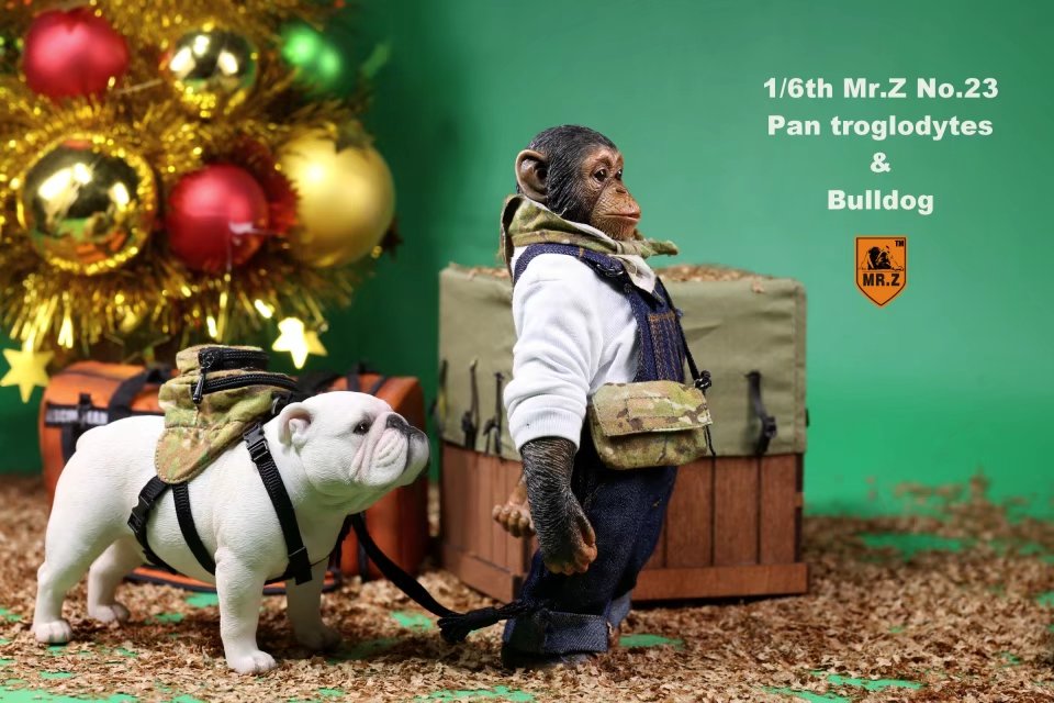 IN-stock Mr.Z Simulated Animals Series 23: 1/6 Scale Chimpanzee & Bulldog Set