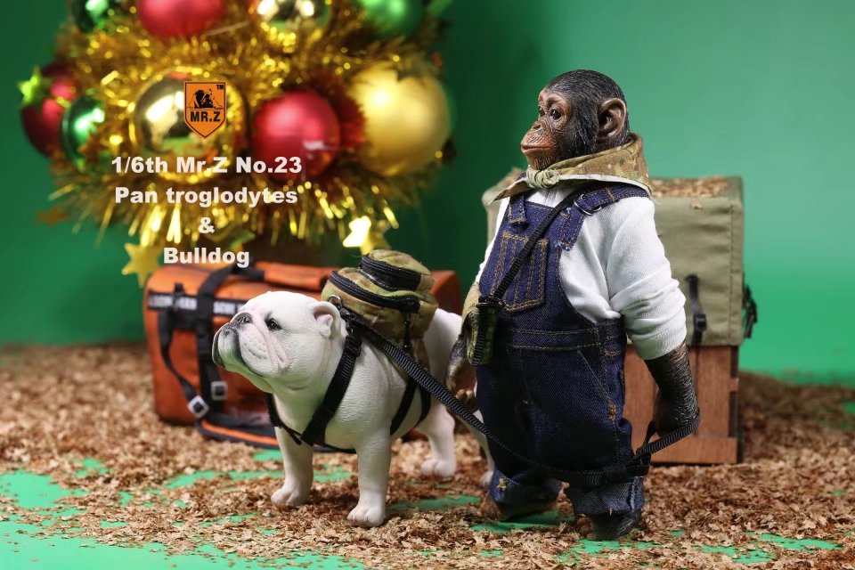 IN-stock Mr.Z Simulated Animals Series 23: 1/6 Scale Chimpanzee & Bulldog Set
