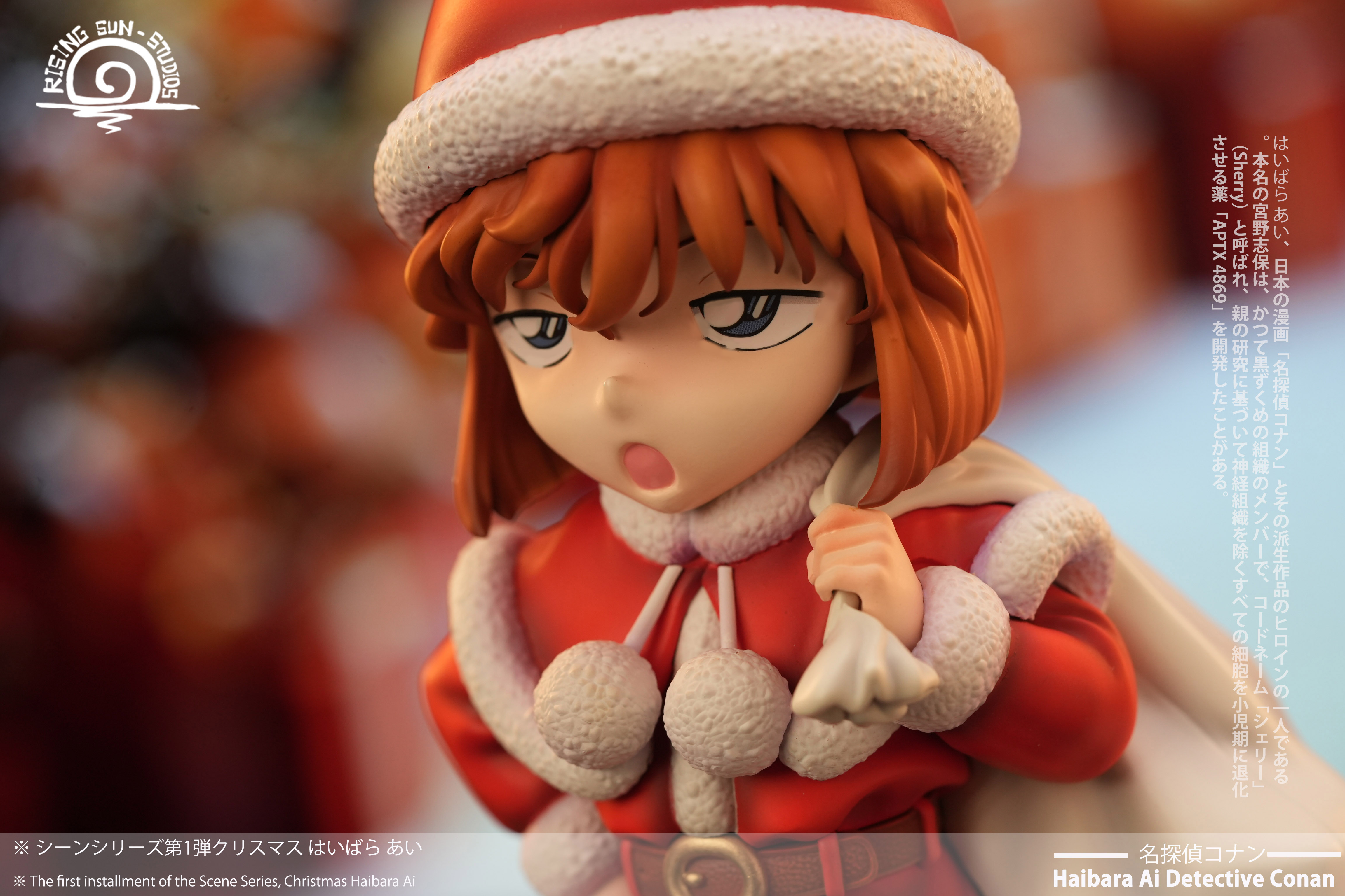 RS Studio - Detective Conan  - Anita Hailey 1/6 Statue(GK)