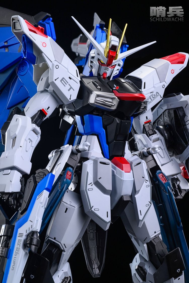 Schildwache Studio - GUNDAM - Freedom 1/35 Scale Action Figure